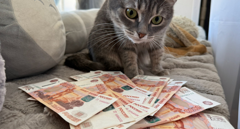 Зарплату повысили, а работать лучше не стали. Почему деньги больше не работают?