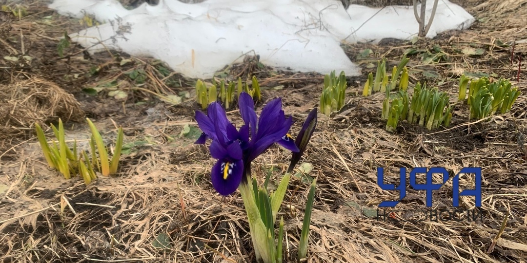 Синоптики спрогнозировали раннюю весну