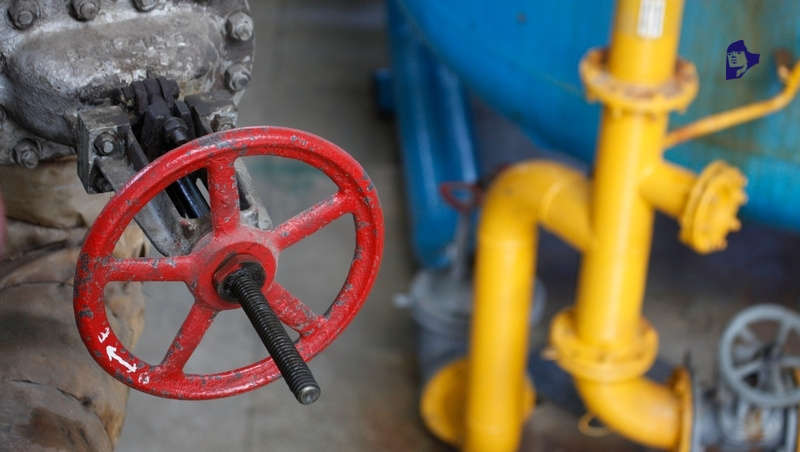      Фото: ИА «Победа26»