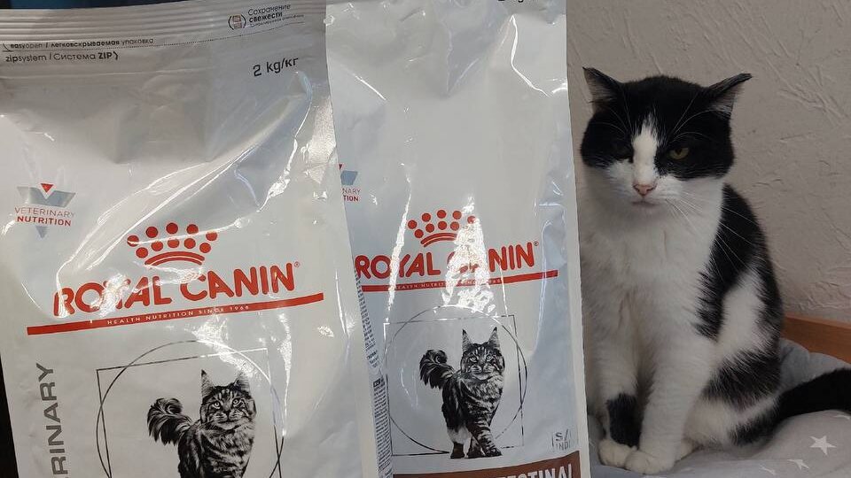 Вы - самые замечательные помощники!