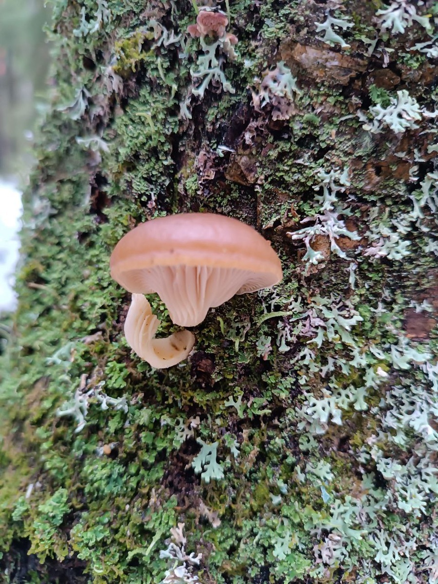 Фото Ольги Чикиревой