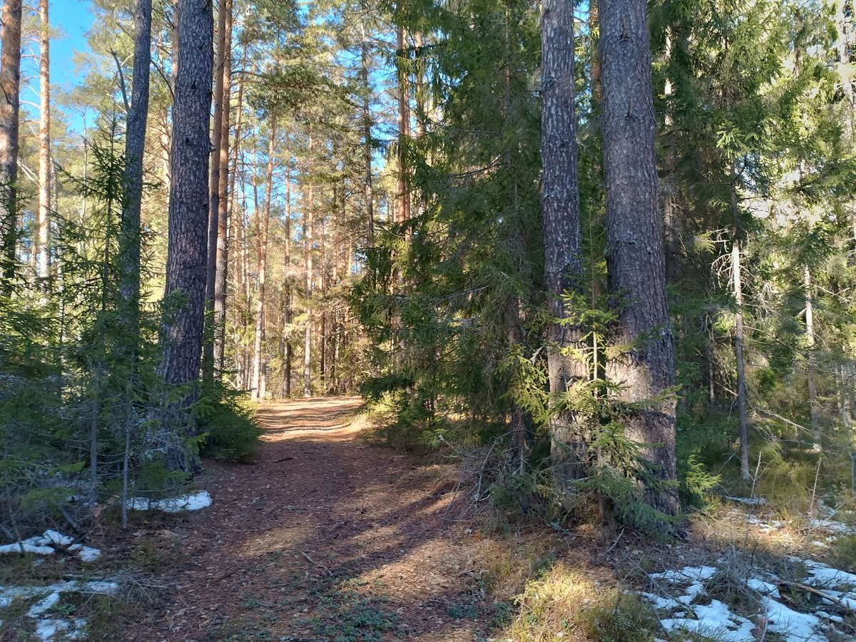 Фото Ольги Чикиревой