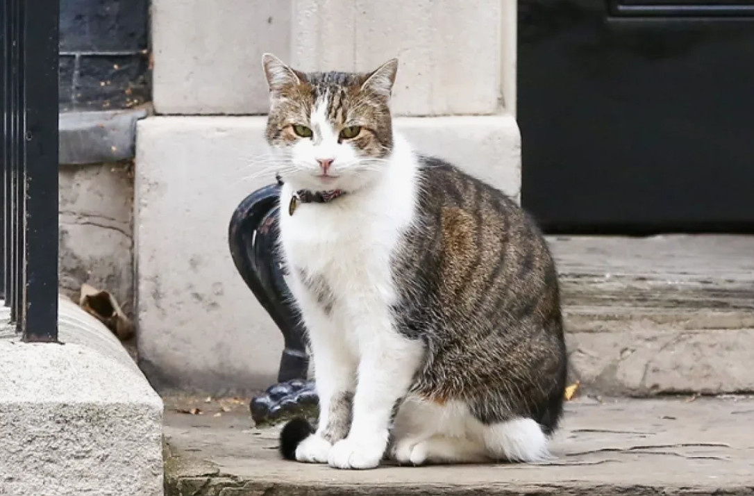 Все фото из интернета