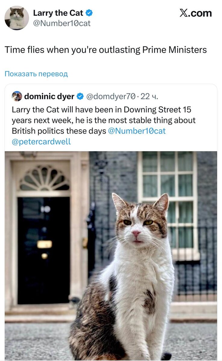 Ссылка выше