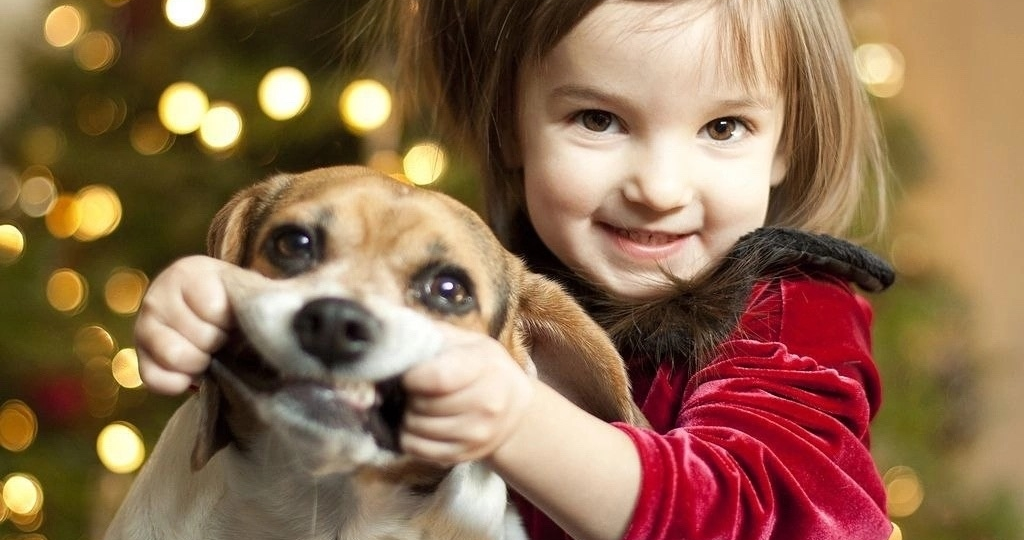 Собака укусила ребенка...