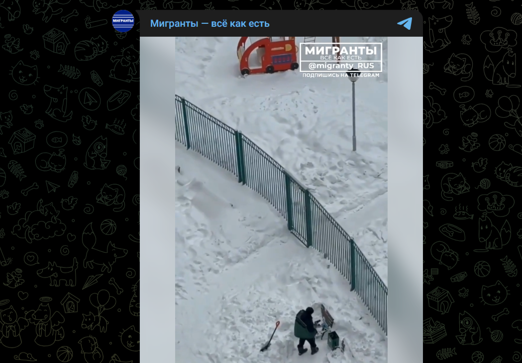 Фото: Telegram-канал "Мигранты - всё как есть"