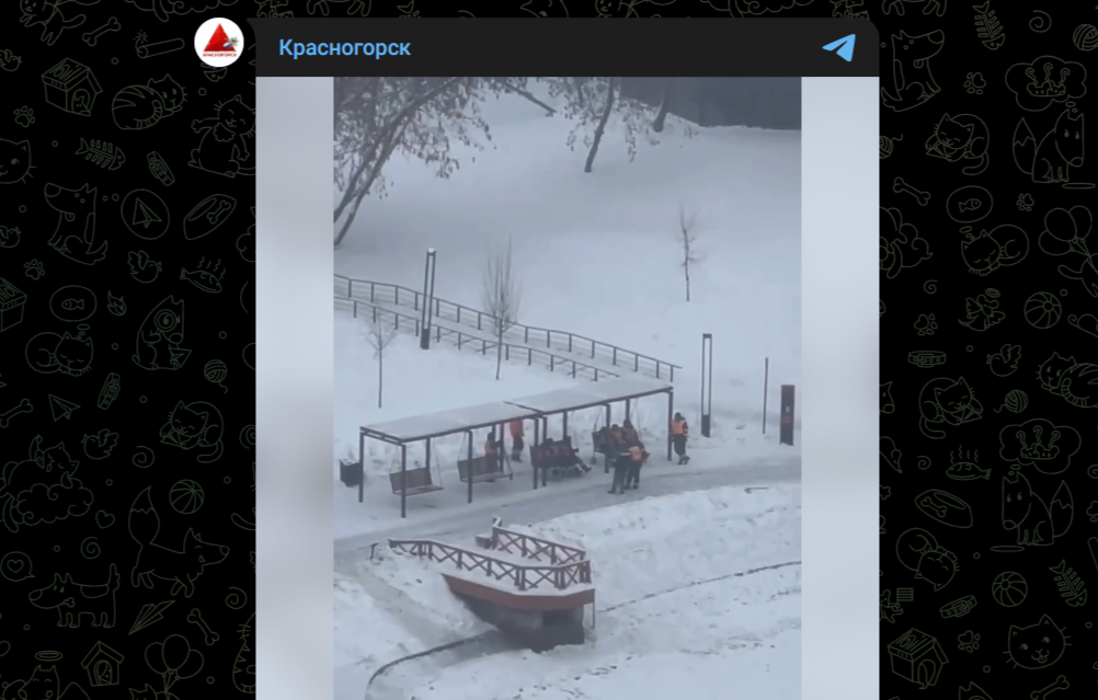Фото: Telegram-канал "Красногорск"