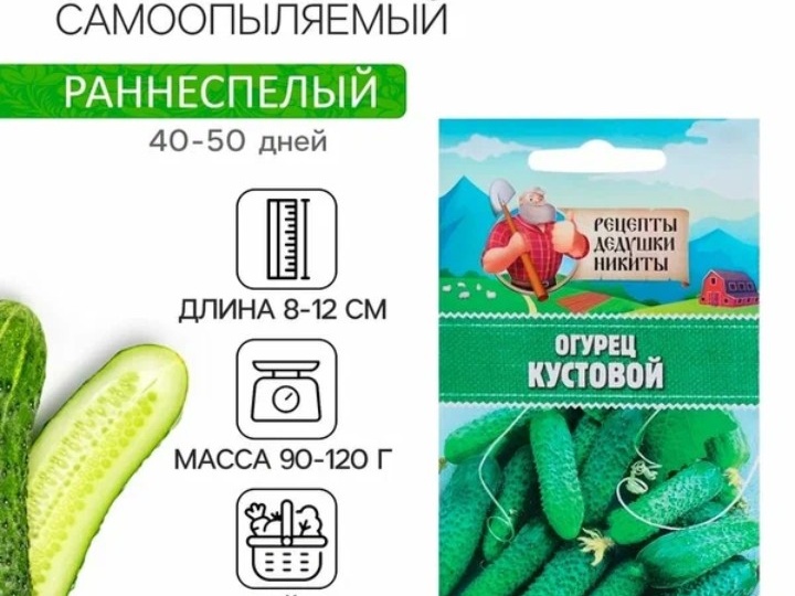 Секрет моего рекордного урожая: как сорт «Огурец Пальчик» покорил мое сердце и огород