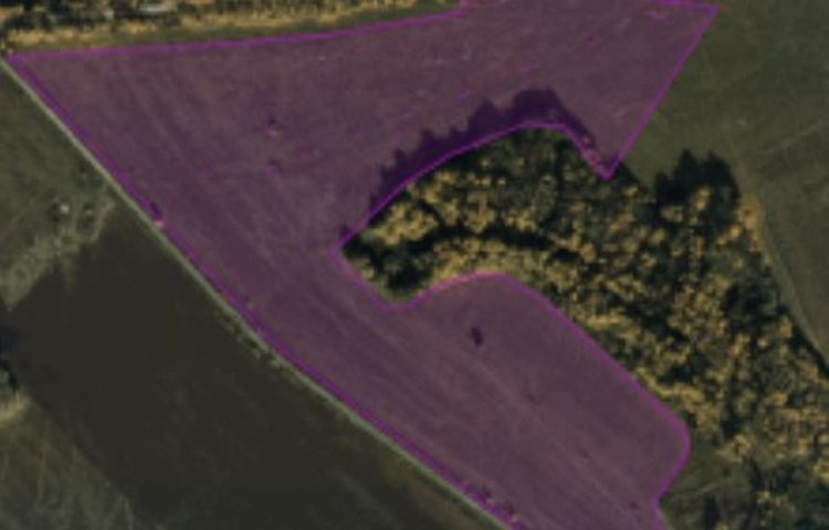    Фото: Управление Россельхознадзора по Орловской и Курской областям