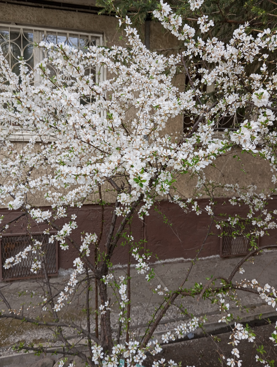 Фото автора статьи.Весна придёт, уже скоро!!!