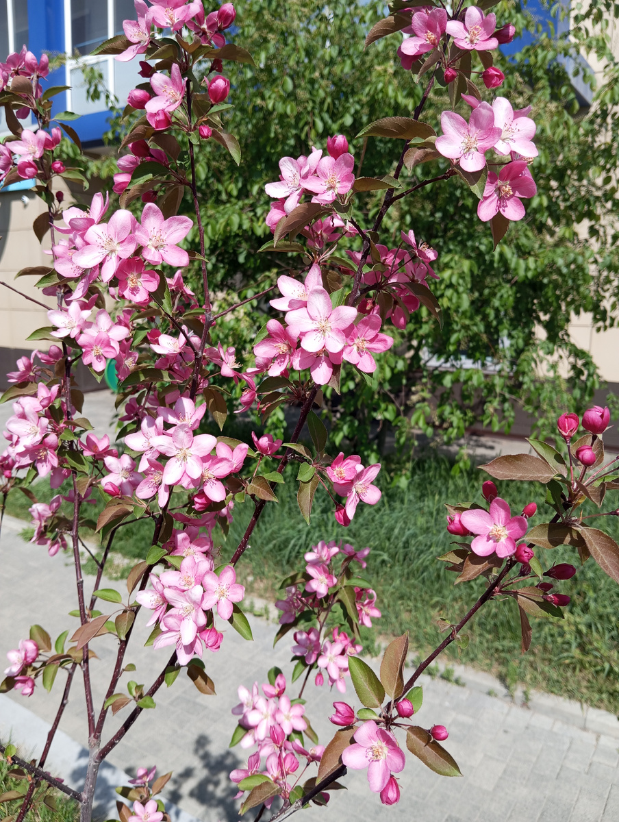 Фото автора статьи.Весна придёт, вы только ждите!!!