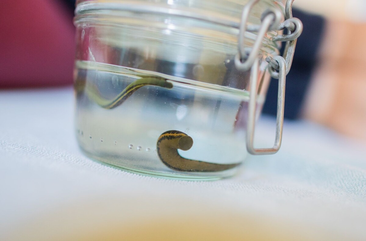     / Источник: © Global Look Press