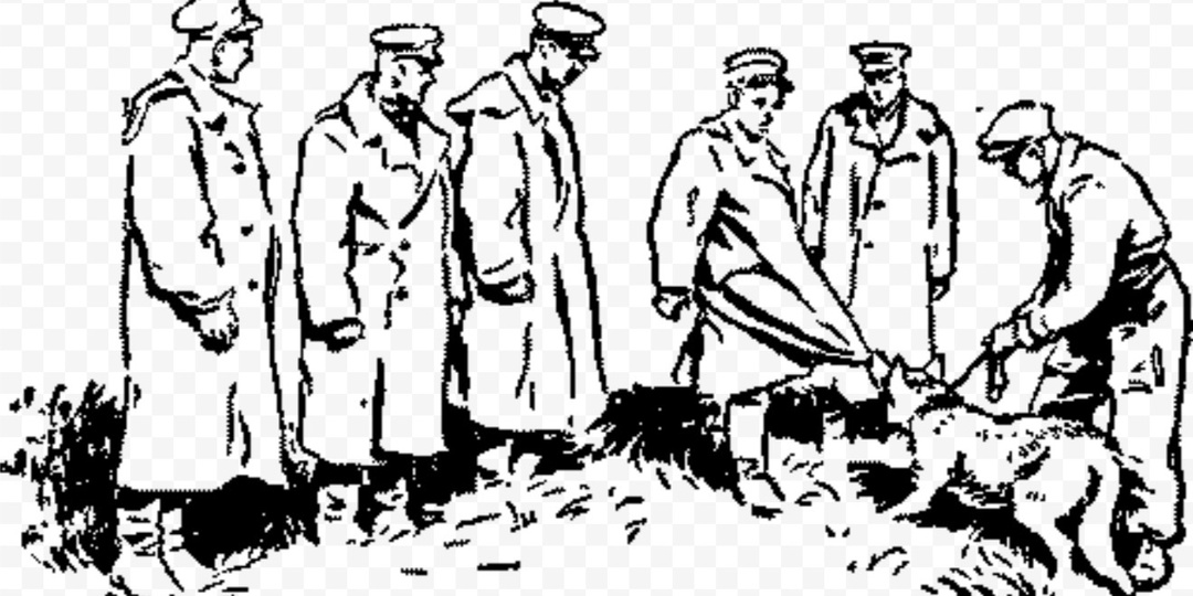 Выборка собак