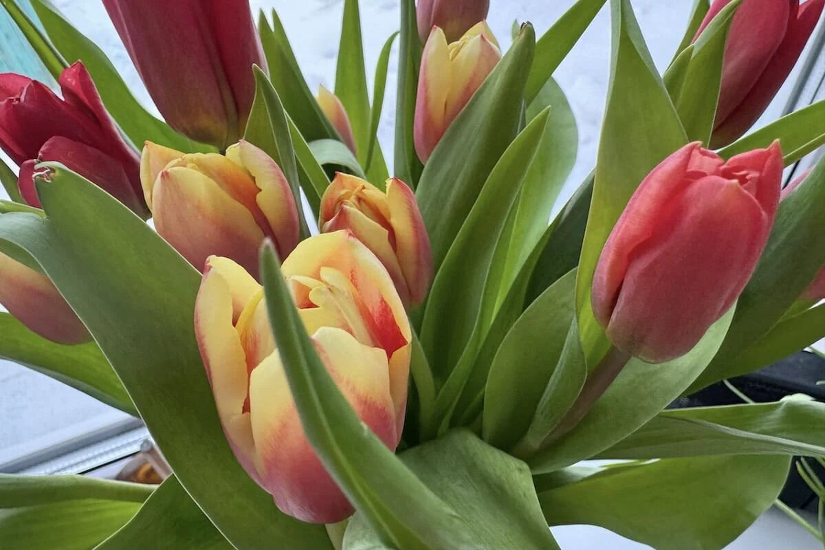 Фото: UfacityNews.ru