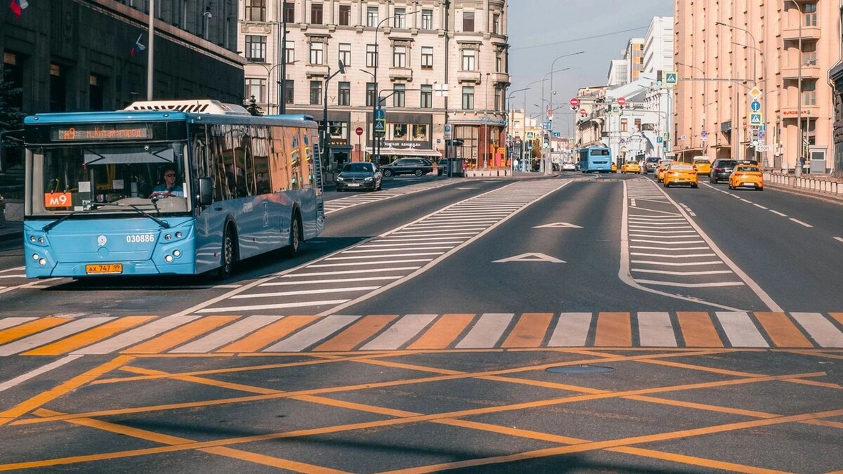    Фото: Stanislav71/Shutterstock/Fotodom