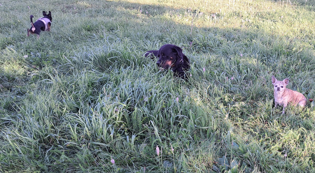 фото из личного архива