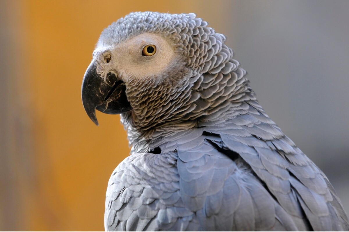     / Источник: © Global Look Press