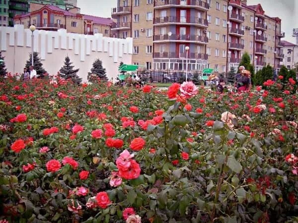 Радостно на сердце от того, что восстанавливая город, грозненцы не забыли и обэтой отличительной его черте