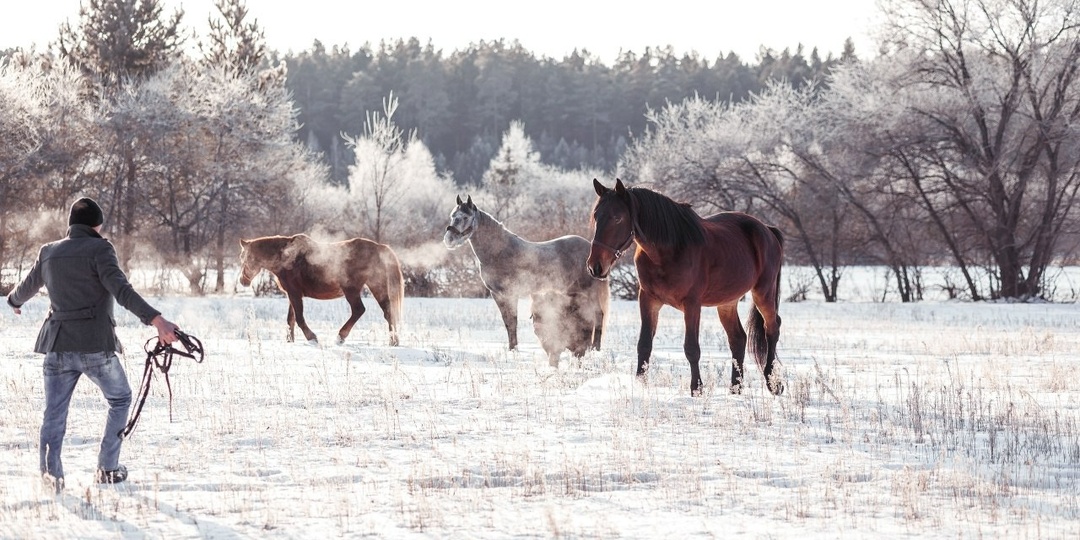 ФОТОГРАФ Оробей Евгения | Тюмень