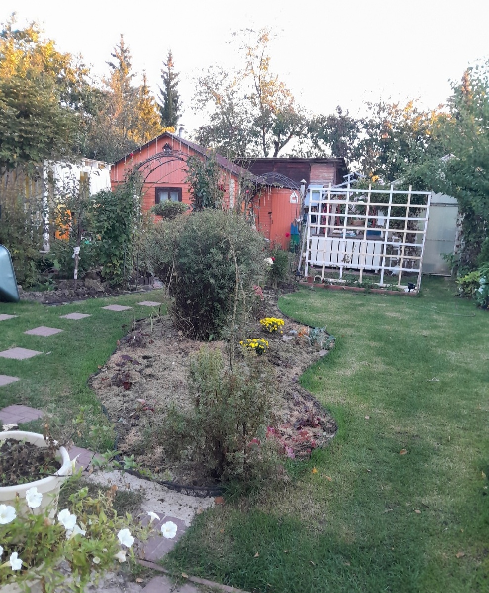 Октябрь 2025г.