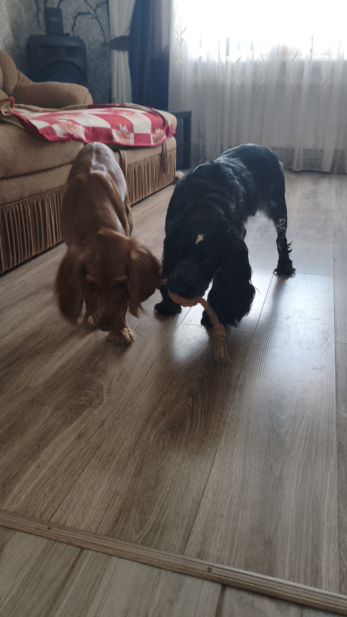 С мамой играет.