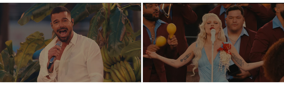     Рики Мартин и Леди Гага