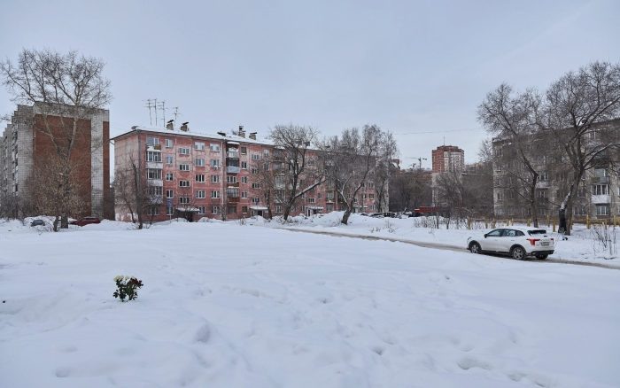 Фото Александра Ощепкова, НГС.
