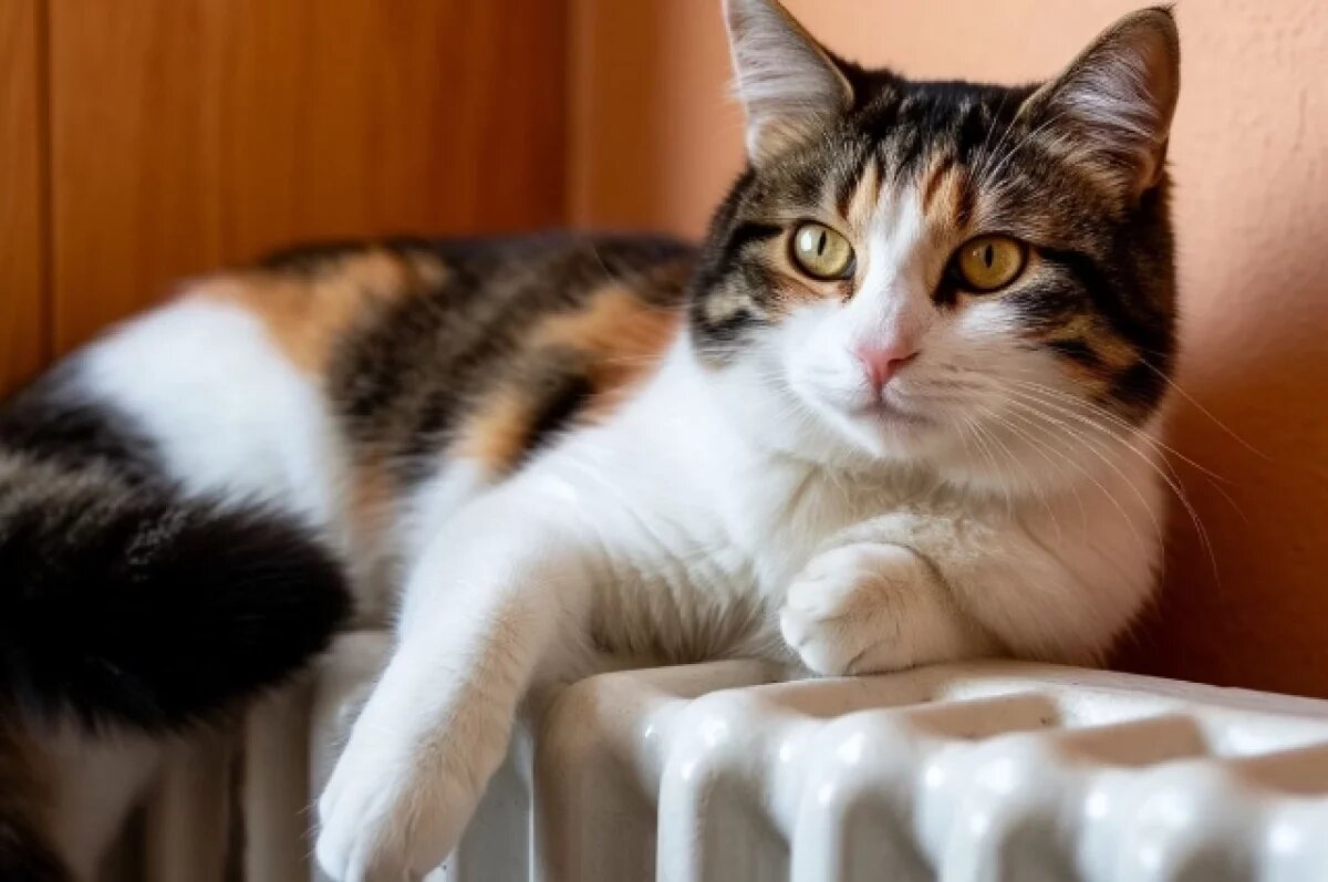    Саратовцам напомнили о горячей линии по перерасчету за отопление