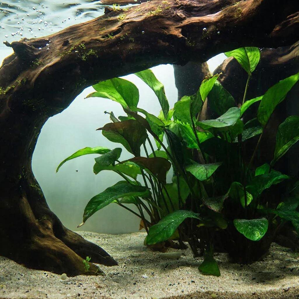 Сгенерировано, кстати очень хорошо