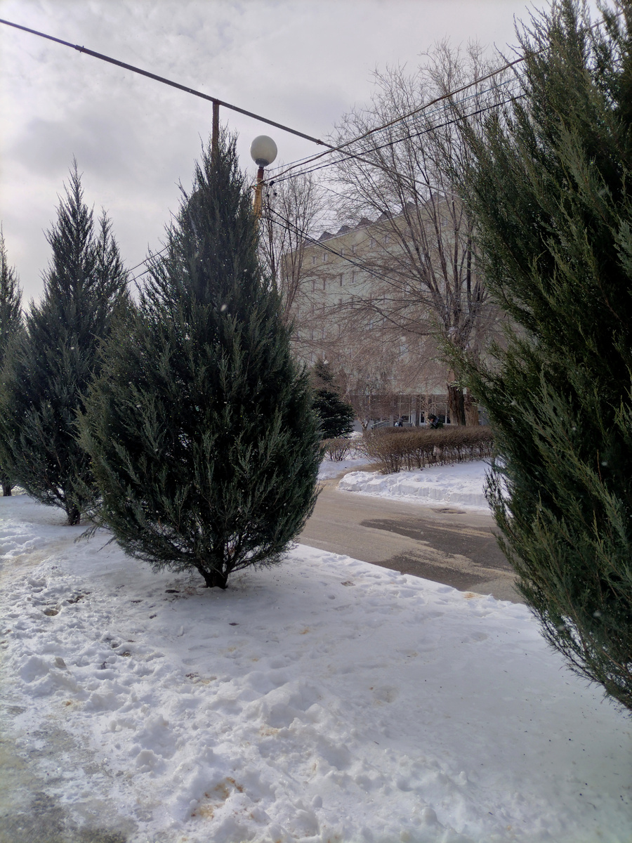 Территория больницы 