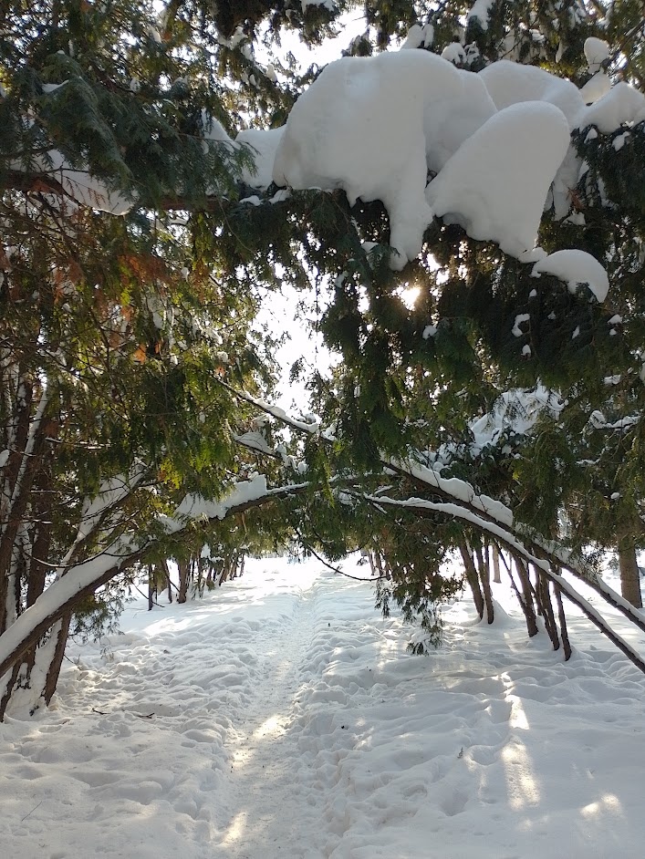 Фото автора.