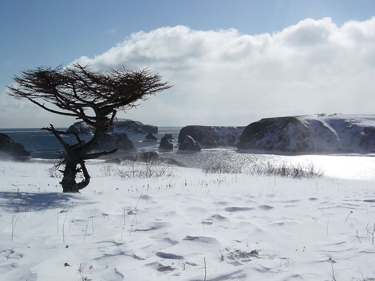    Остров Шикотан Малой Курильской гряды | © РИА Новости / Сергей Кривошеев