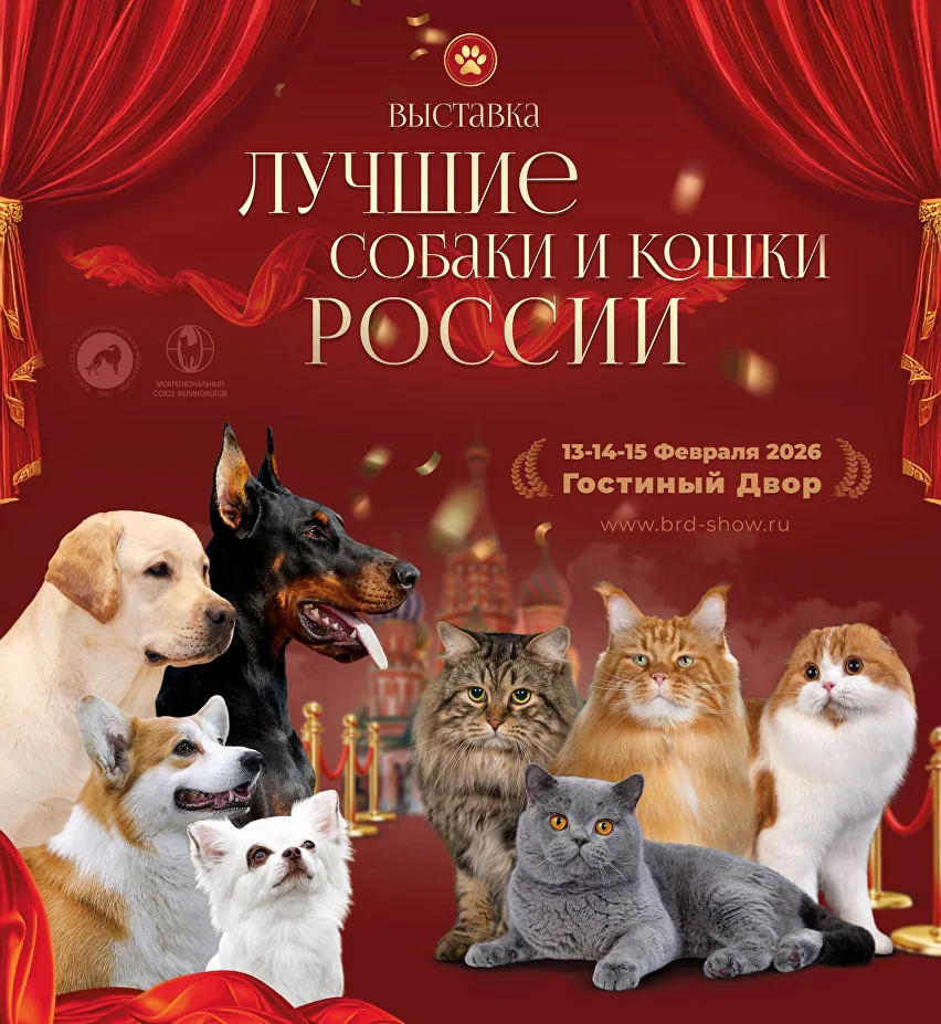 Официальный плакат выставки в 2026 году.