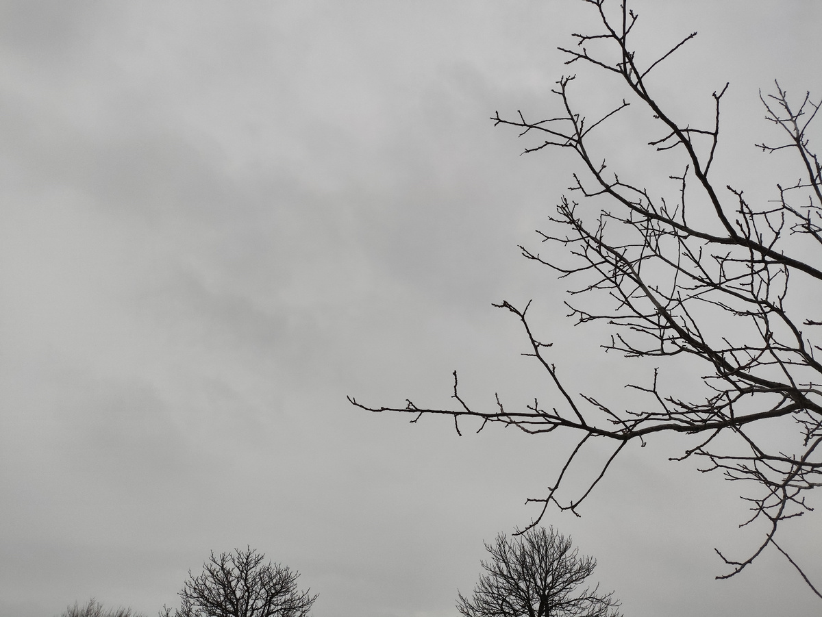 Перед выходом взгляд в хмурое небо