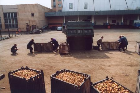 Автор Юлия Орентлихерман. Источник https://mamm-mdf.ru/exhibitions/julia-orentliherman-ovoschebaza.