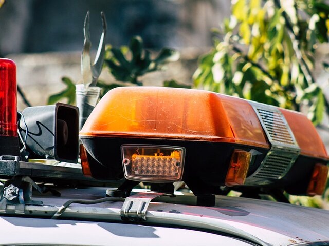    Фото: 123RF.com/joseh51