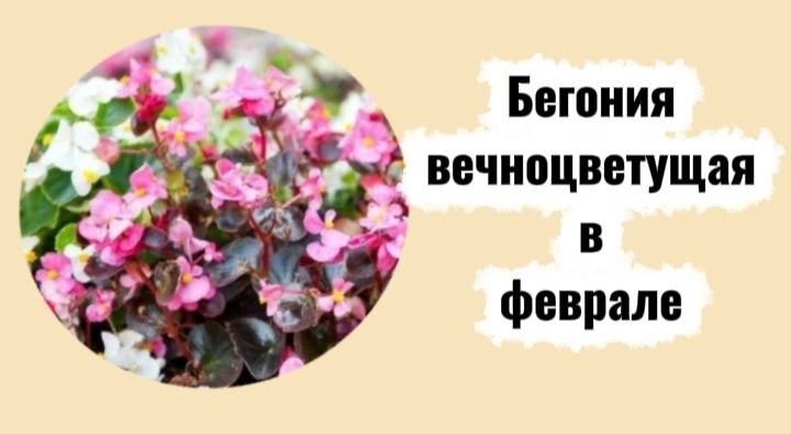 Коллаж автора