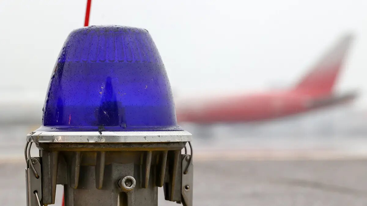    Фото: vm.ru Алла Бородина