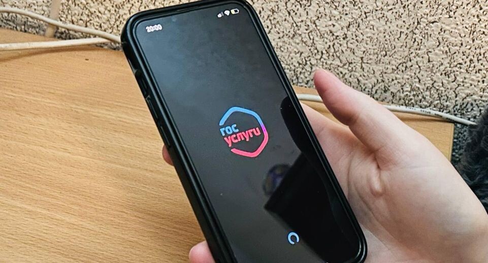    «Челны Live» / Екатерина Волкова