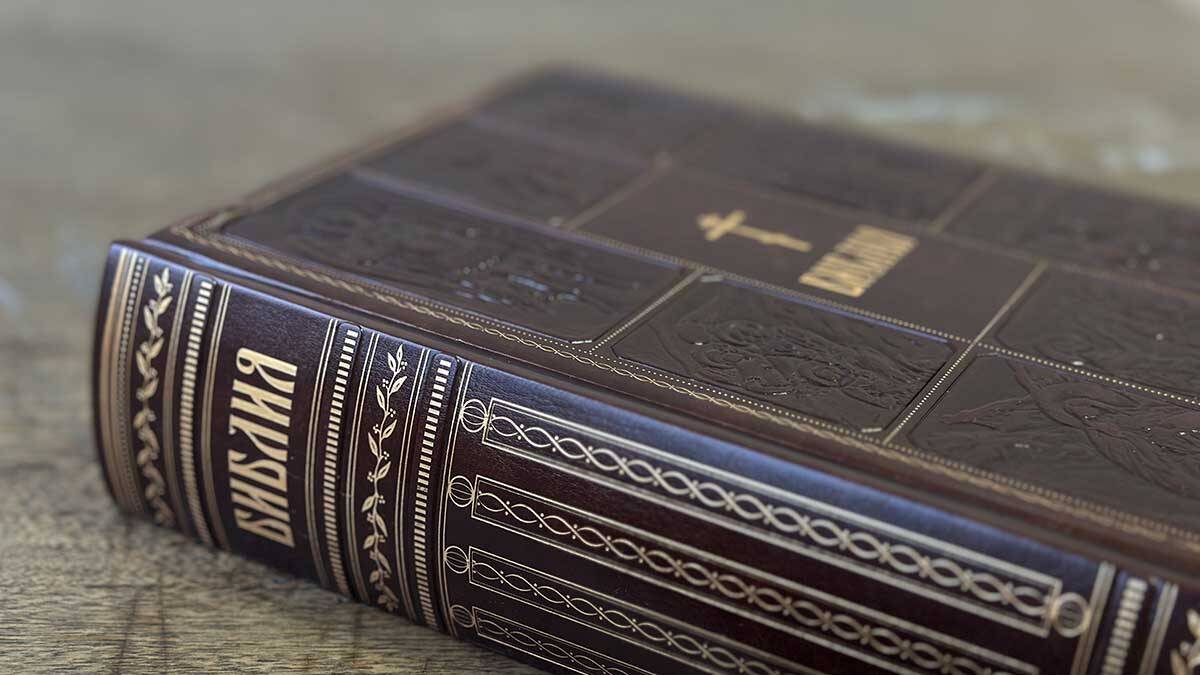    Фото: Вечерняя Москва