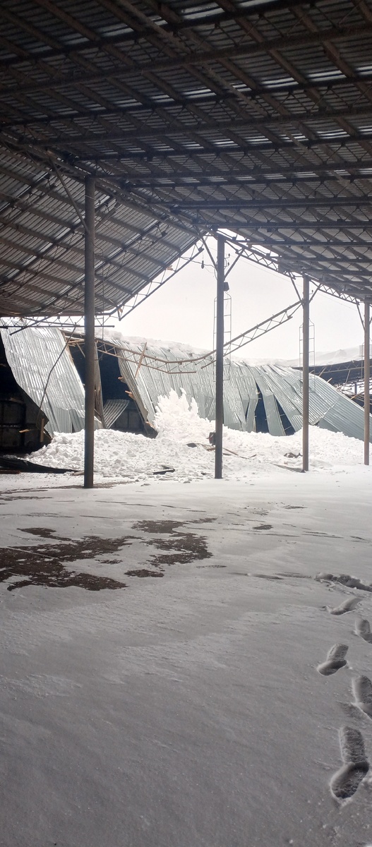 Не выдержала...