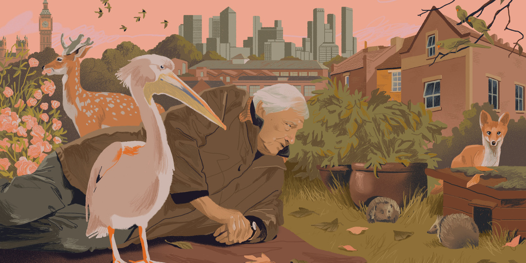 Сидим с бобром за столом: Дэвид Аттенборо показывает животных. Теперь не выезжая из Лондона