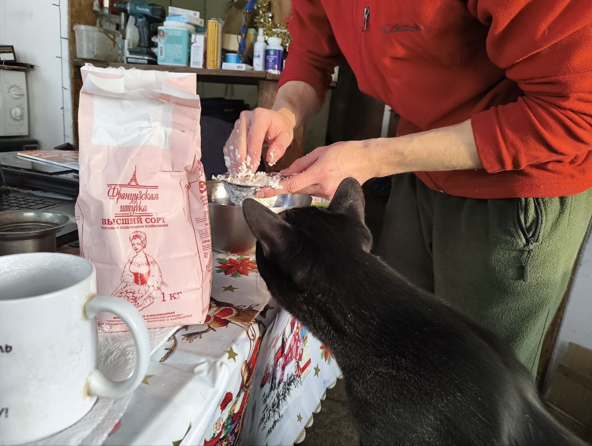 Лимон внимательно следит за тем, как Ваня готовит сырники