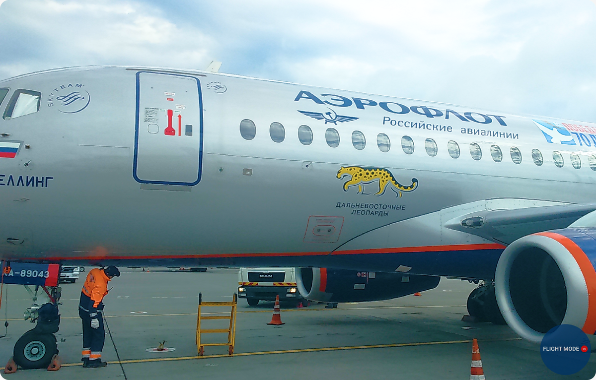 Когда рабочим летишь на Сухом, так еще и с леопардом🐆