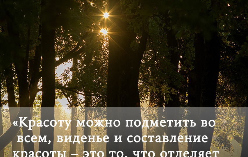 О фотографии #8