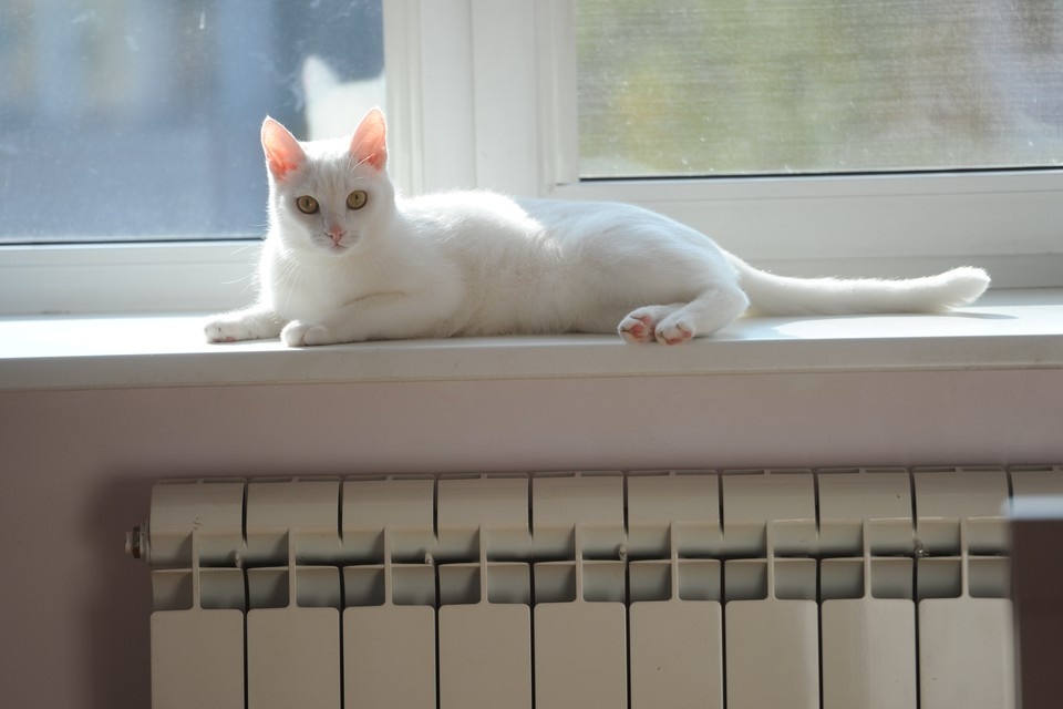    Несколько домов остались без тепла из-за ремонтных работ. Юлия ПЫХАЛОВА