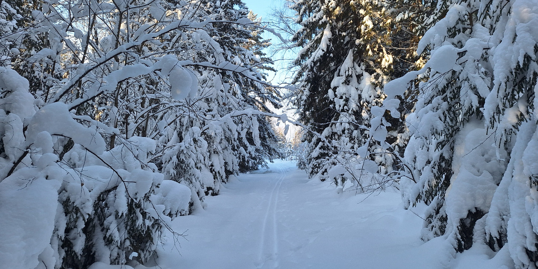 Зимние лесные пейзажи для  души