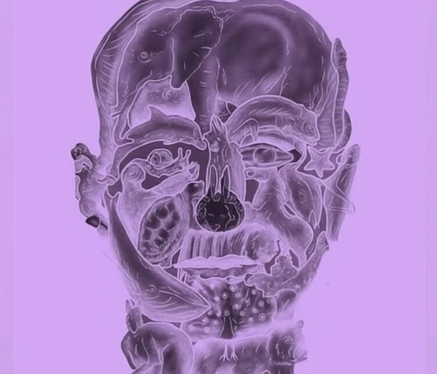 Что вы видите на картинке: 10 оптических тестов, позволяющих понять себя