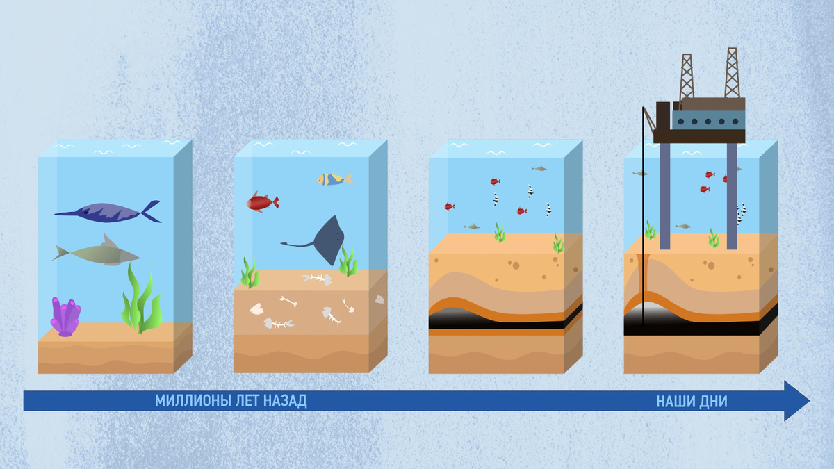     Фото: lala firdaa/Shutterstock/FOTODOM 300 млн лет, из остатков древней флоры и фауны родилась нефть