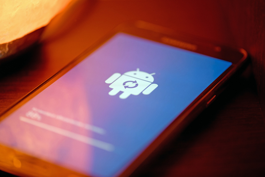    Shutterstock/FOTODOM